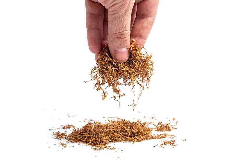  Nicotine not the main cause of disease