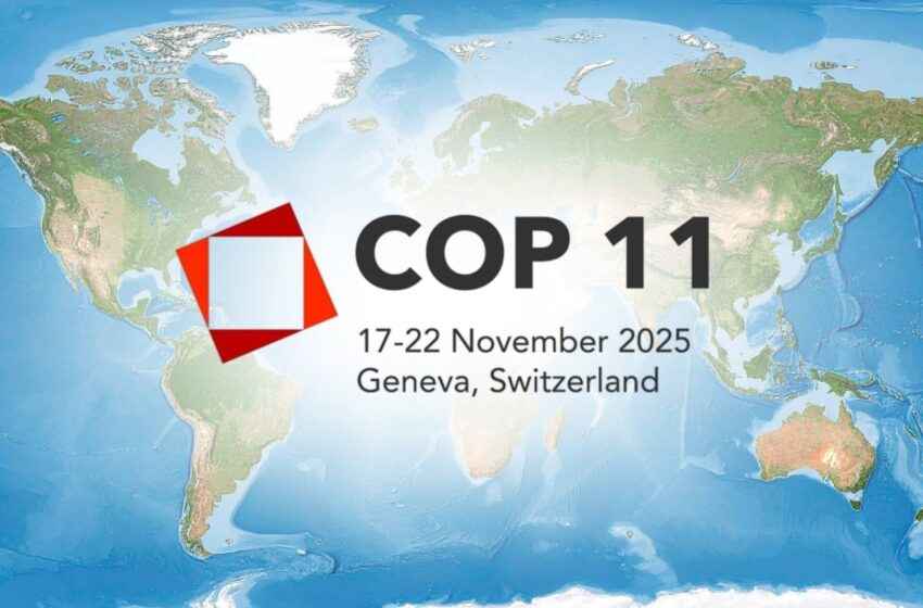  Philippine stakeholders ask WHO FCTC delegation to uphold Vape Law