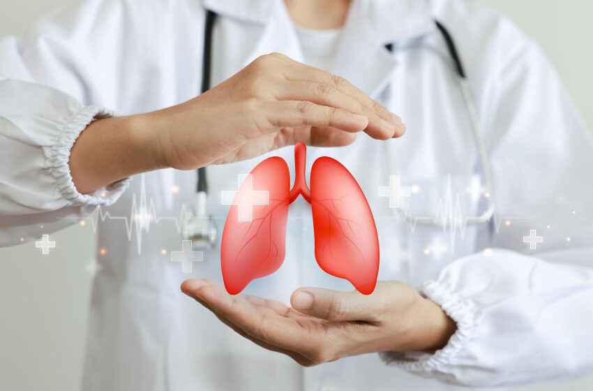  Global health experts urge WHO to adopt tobacco harm reduction at COP11